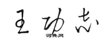 駱恆光王功志草書個性簽名怎么寫