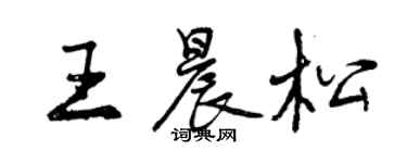 曾慶福王晨松行書個性簽名怎么寫