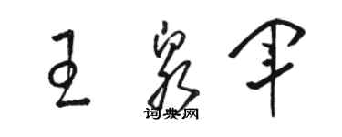 駱恆光王泉軍草書個性簽名怎么寫