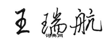 駱恆光王瑞航行書個性簽名怎么寫