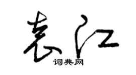 曾慶福袁江草書個性簽名怎么寫