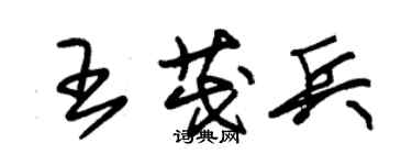 朱錫榮王茂兵草書個性簽名怎么寫