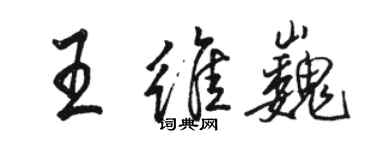 駱恆光王維巍行書個性簽名怎么寫