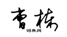 朱錫榮曹棟草書個性簽名怎么寫