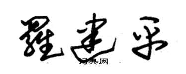 朱錫榮羅建平草書個性簽名怎么寫