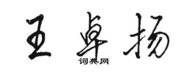 駱恆光王卓揚行書個性簽名怎么寫