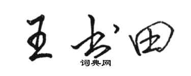 駱恆光王書田行書個性簽名怎么寫