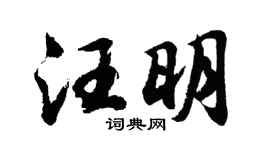 胡問遂汪明行書個性簽名怎么寫