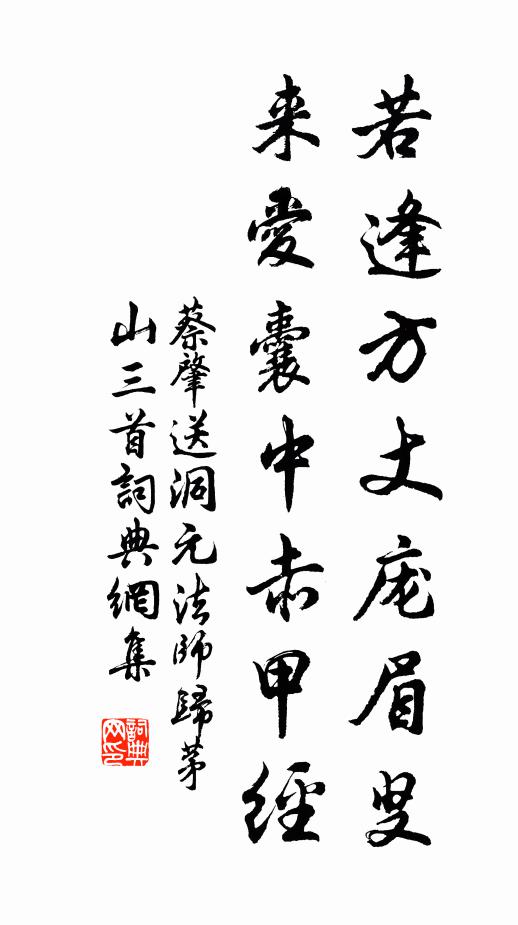 蔡肇若逢方丈龐眉叟,來愛囊中赤甲經書法作品欣賞