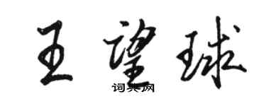 駱恆光王望球行書個性簽名怎么寫