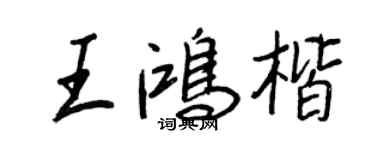王正良王鴻楷行書個性簽名怎么寫