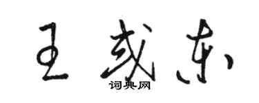 駱恆光王或東草書個性簽名怎么寫