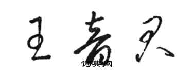 駱恆光王音君草書個性簽名怎么寫