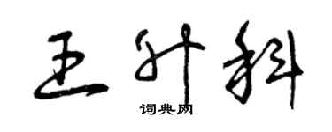 曾慶福王升科草書個性簽名怎么寫