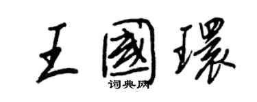 王正良王國環行書個性簽名怎么寫