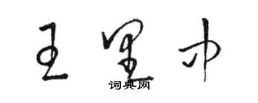 駱恆光王里中草書個性簽名怎么寫