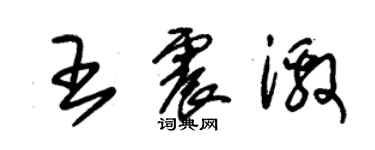 朱錫榮王震激草書個性簽名怎么寫