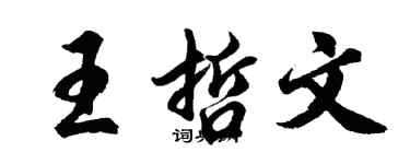 胡問遂王哲文行書個性簽名怎么寫