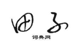 駱恆光田子草書個性簽名怎么寫