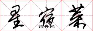 朱錫榮星宿菜草書怎么寫