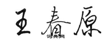 駱恆光王春原行書個性簽名怎么寫