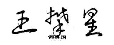 曾慶福王攀星草書個性簽名怎么寫