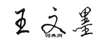 駱恆光王文墨行書個性簽名怎么寫