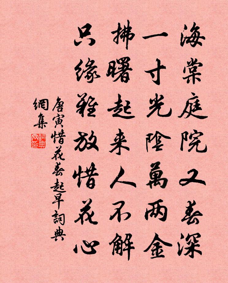 唐寅惜花春起早書法作品欣賞