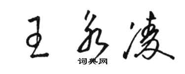 駱恆光王永凌草書個性簽名怎么寫