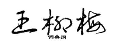 曾慶福王柳梅草書個性簽名怎么寫