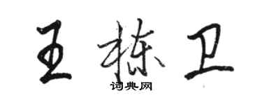 駱恆光王棟衛行書個性簽名怎么寫