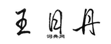 駱恆光王日丹行書個性簽名怎么寫