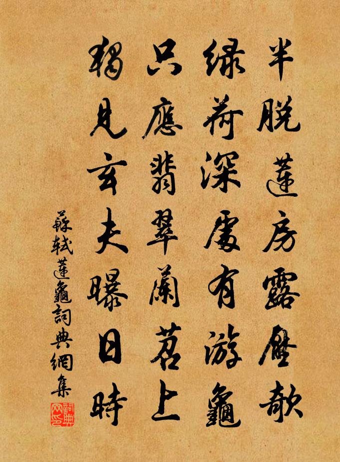 蘇軾蓮龜書法作品欣賞