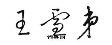 駱恆光王雪弟草書個性簽名怎么寫