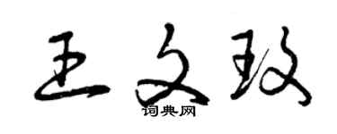 曾慶福王文玫草書個性簽名怎么寫