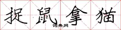 袁強捉鼠拿貓楷書怎么寫