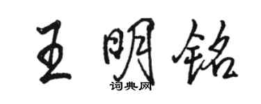 駱恆光王明銘行書個性簽名怎么寫