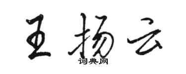 駱恆光王揚雲行書個性簽名怎么寫