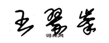 朱錫榮王翠峰草書個性簽名怎么寫
