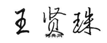 駱恆光王賢珠行書個性簽名怎么寫