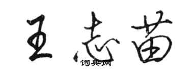 駱恆光王志苗行書個性簽名怎么寫