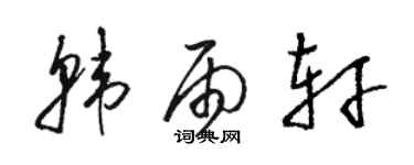 駱恆光韓雨軒草書個性簽名怎么寫