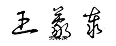 曾慶福王蒙泰草書個性簽名怎么寫