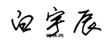 朱錫榮白宇辰草書個性簽名怎么寫