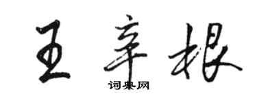 駱恆光王辛根行書個性簽名怎么寫