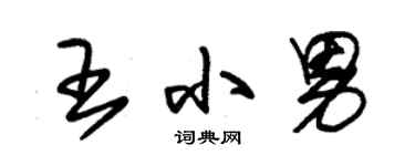 朱錫榮王小男草書個性簽名怎么寫