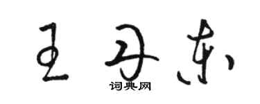 駱恆光王丹東草書個性簽名怎么寫