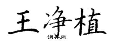 丁謙王淨植楷書個性簽名怎么寫