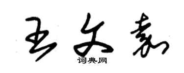 朱錫榮王文嘉草書個性簽名怎么寫