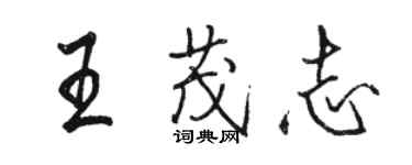 駱恆光王茂志行書個性簽名怎么寫